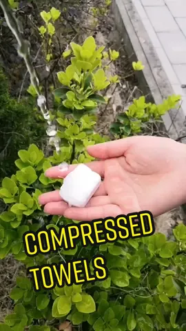 #handy #convenient #tiktok #homegoodthing #fypシ ##uk