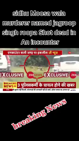 #foryou #fyp #viral #foryoupage #mujtabanews #sidhumoosewala #murder #india