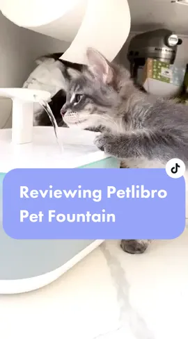 Cats naturally do not drink enough water on their own & get most moisture from their food intake. Fountains help encourage extra hydration! Click the link in my bio for 15% off!  @Petlibro #petlibro #cathealth #catdrinking #hydrationtips