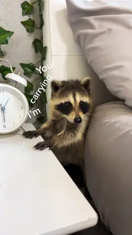 He’s worth it tho