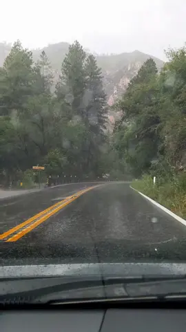 There's nothing quite like driving through a National Forest on a rainy day #drivingintherain #coconinonationalforest #summeradventures