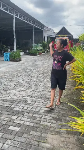 Aku ki opo2 iso, boloku para sopir truk gaes, bolomu piye?