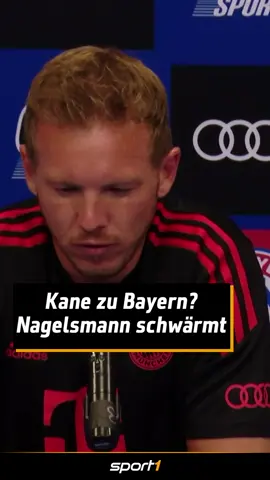 Harry #Kane zu Bayern? #nagelsmann #fcbayern #fussball #sport1 #sport1news