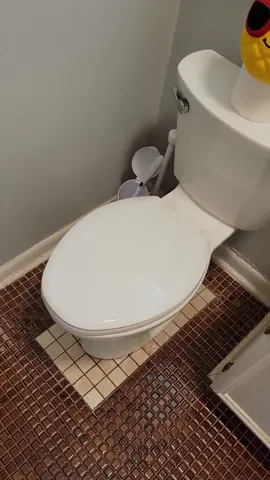 Snake in my toilet?! OMG! #snakeintoilet #snakeinhouse #snakeremoval #hugesnake #ratsnake #tiger #surprisevisitor #wildanimals #pets #reptiles