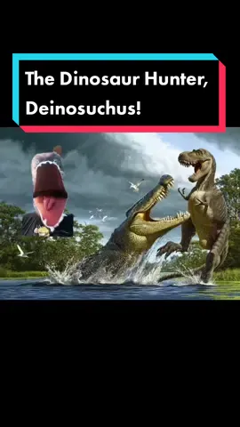Not the Deino you're thinkin of #fyp #foryou #fypシ #scary #horror #LearnOnTikTok #EduTok #crocodile #Science