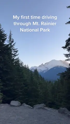 Had the best timing driving through Mount Rainier National Park last night 😭😍 #mtrainier #washington #pnw