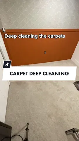 Deep cleaning the carpets at the old house! The transformation is incredible. #carpetclean #deepcleaning #floorcleaning #carpetcleaning #carpetwashing #diyproject #homeimprovement #cleancarpet