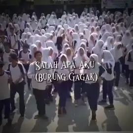 Jdi rindu trend nyaa #4u #backtobacksongs #PrivateLabelTest #2019