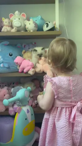 Some of these stuffed animals are not like the others