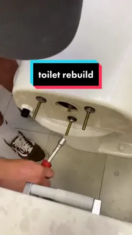 rebuilding a mansfield toilet