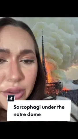 WHY ARE THEY LEAVING US HANGING LIKE THIS? I feel like im being constantly led on by archeologists 😭 who do you think is in there? @taniberlo @taniberlo @taniberlo #history #archeology #historynews #stopwhatyouredoing