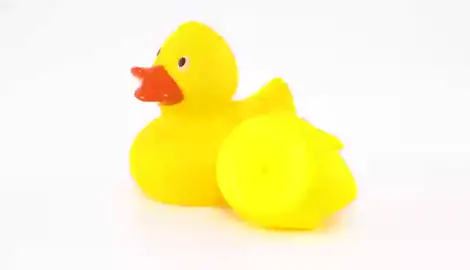 Cute duck bath toy🐤🐤 #ducktoy