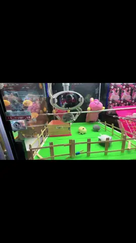 Rally up the dogs. #round1#cranegame#clawmachine#bts#plush
