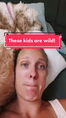 I think they have lost their minds. 😂 #kidsoftiktok #gamerkids #momlife #tallmom #kidsgonewild