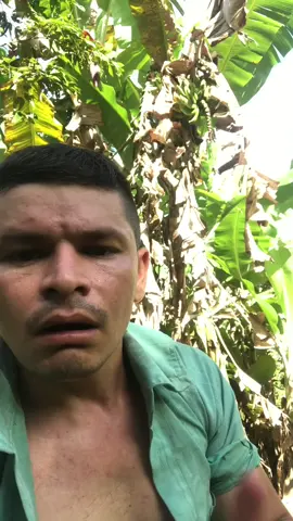 Como se tira bananas para comer #foryou #comedia #humor