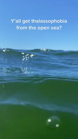 Dive into the Puget Sound 🌊 #thalassophobia #snorkeling #freediving #pugetsound #fyp #foryou