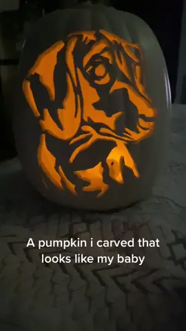 #pumpkincarving #deafdogpumpkin #deafdogsrock #rescuedog #halloweenpumpkin