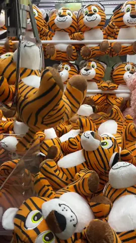 tiger stuffed toy #fyp #cranegame #clawmachine #ufoキャッチャー