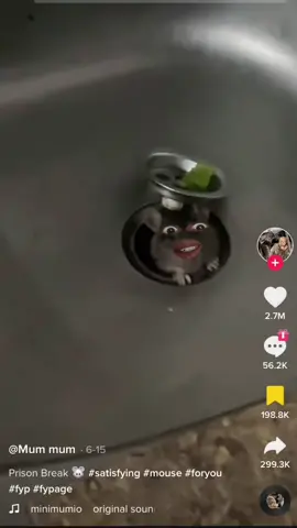 #stitch with @Mum mum haha watch till the end 😂😂#NatWestWhatYouWaitingFor #unclegbenga #xyzbca #tiktokvine #comedy #stickers #rat #sink #relatable