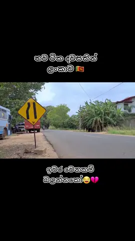 තව ටික දවසකින් ලංකාව 😂💔 #srilankan_tik_tok #fypシ #foryou #iro #athal