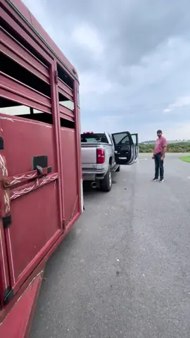 Get to meet my new friends in the morning ❤️❤️#sheepfarm #farm #sheep #pennsylvania #roadtrip #Vlog