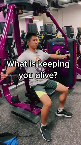 Life. #GymTok #gym #weights #icaryweights #gymmotivation #fyp