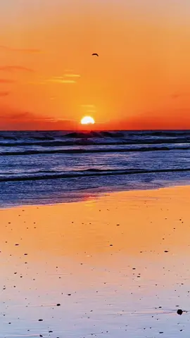 #♥️#sunrise #ocean #beachsunrise🌅🌅 #foryou