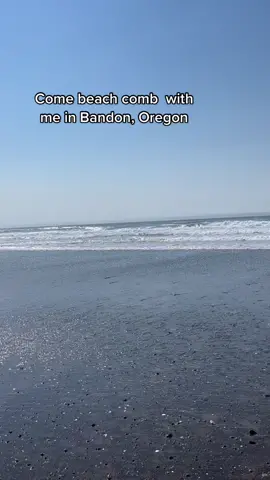 #oregoncoast #pnw #bandonoregon #beachcombing #sanddollar #seashells #seastone #rockhound
