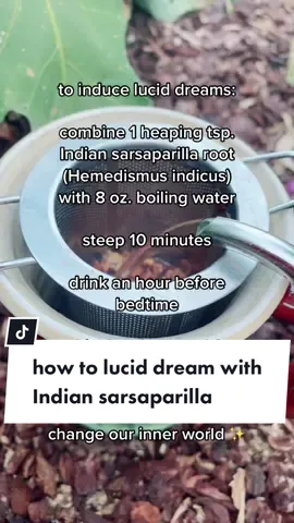 how to induce lucid dreaming 🌙 #herbs #herbalism #herbalist #herbalistsoftiktok #witchtok #witchesoftiktok #hemidesmusindicus #sarsaparilla #luciddreamingtips
