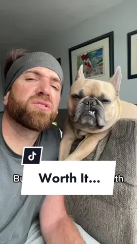It’s worth it IMO #frenchiesoftiktok #bulldogsoftiktok #gasblaster #suffer #dogsoftiktok #youregoingtosuffer #dogparent#dogdad#dogsoverpeople @somefrenchienamedapollo @somefrenchienamedapollo