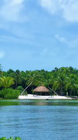 Paradise Island🏝 #fyp #foryou  #florida #travel #nature #floridacheck