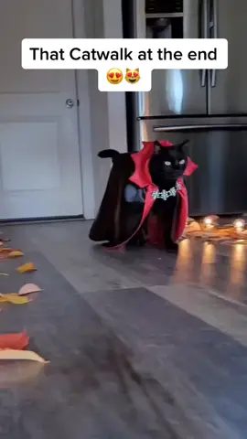 Do you already have your Halloween Costume? #halloween #halloweentok #halloweencostume #blackcatsoftiktok #cutecatsoftiktok #vampire