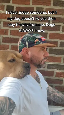 BIG trust on his judgement. #fypシ #viral #dogsoftiktok #PetsOfTikTok #foryou #trending #bullybreed #BestFriends #fyp