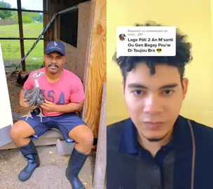 #duet with @kevorlior Pati 2 Haiti#MickeyFriendsStayTrue #joeboy #CVSPaperlessChallenge #slip #chickenpoulryfam #fypシ #turkeyseason #farmlife #animals #animals #livestock #ayisyentiktok🇭🇹 #ayisyen #haitiantiktok #haitian #poutoi #foryoupage #chickenpoultry #viralvideo #turkeys #foryou @toutglwapoubondye @geneseromelusgene @humaniste33 @bestangel155 @ephesien93 @lebonheur1024 @granfanmi @fullofjoy_001 @actricemidouduvillage8 @arthur00000000000000 @zayoudortil @adelinejeanty @maraboo54 @johny2122 @princess__da @kikiasesino @_mia073 @teammanou509 @italien07franco
