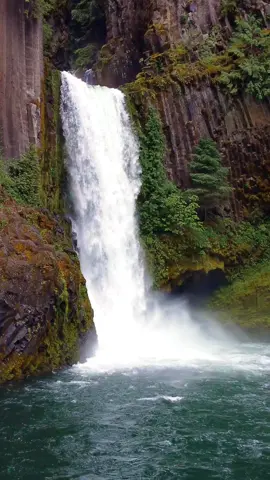 This place never gets old 🤩 #waterfall #waterfalls #forest #wilderness #water #river #trees #oldgrowthforest #earthspower #wildernessculture #wildernesscollective #nature #naturelovers #naturespower #travel #traveloregon #oregon #oregonstate #oregonexplored #onlyinoregon #pnw #pnwonderland #pnwdiscovered #dji #djiglobal #slowmo #explore #godisgreat