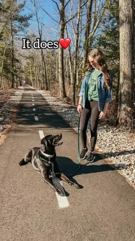 Hit me right in the feels🥺 #fyp #foryou #dogsoftiktok #labsoftiktok