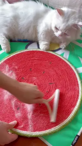 #foryou #catsoftiktok #catmomlife #petcare #cats #pettools #catclean #fyp