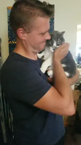 #pets #cat #Love #reunion