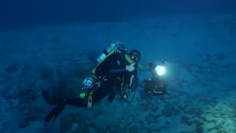 WE FOUND HIM #coelacanth #deepsea #fish #fyp #fishposting #dive