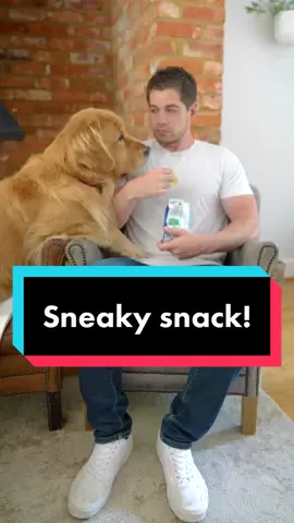 Snacking without me…🤨 yea not hapnin🐶😋 #sharingiscaring #dogsnack #marleynyc
