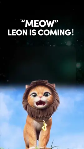 “Meow”- Leon is coming！#tiktoklive #leonthekitten