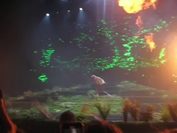 Tyler concert on digital camera #tylerthecreator #sydney #callmeifyougetlost