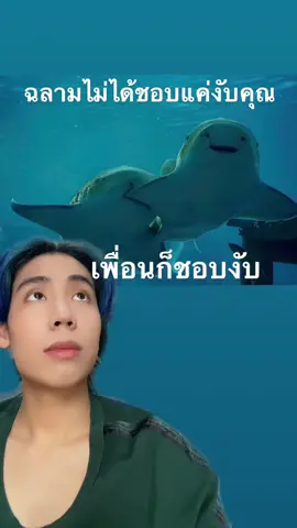 ฉลามก็ชอบงับเพื่อนนะงับ #spd #spdผู้ให้no1  เครดิต มุกจาก เพจหมอเวร