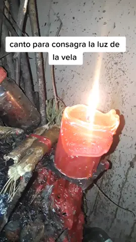 #palomayombemundomalongo #luz #venezuela #mexico #colombia hay mas canto de la vela des pues se les dara