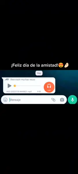 Porque un amigo es uuuunaaaa luuuuz JAJAJAJAJANAN #diadelaamistad #amigos #viral #parati #fyp #paraguay #audios #whatsapp 