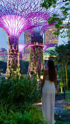 Welcome to the future 🤍 |📍 Gardens by the Bay, Singapore #singapore #singapur #travel #fyp