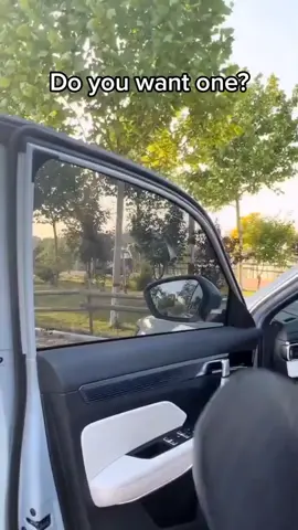 who need this? #sunshade #carwindow #tiktok #viral
