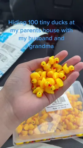 They are going to take me off the will after this. #tinyducks #foryou 