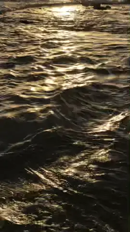 #sunset #cinematography #ocean #waves #sparkling #fyp #aestheticvideos #dreamy #virall #foryouu