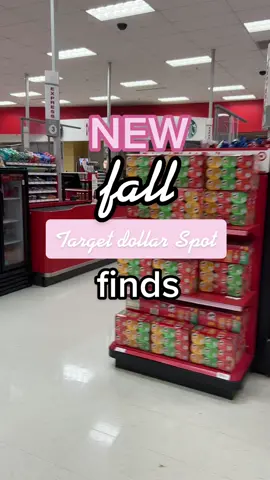 New target dollar spot fall finds 😍 #targetdollarspot #targetstyle #falldecor